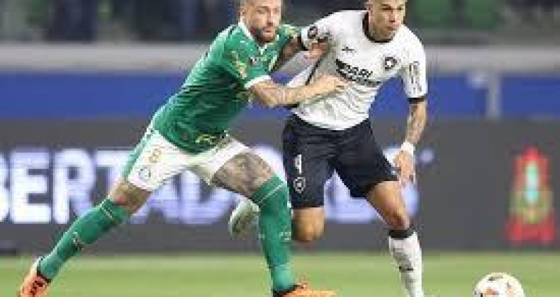 Salvo pelo VAR, Botafogo segura empate com Palmeiras