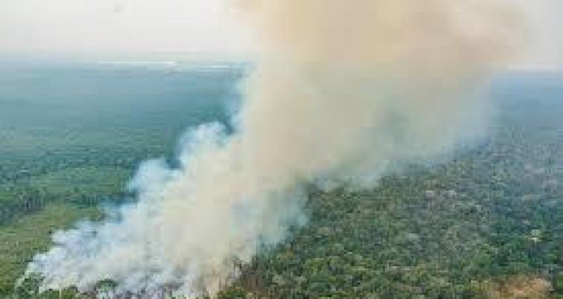 Emissão de gases por queimadas na Amazônia cresce 60%